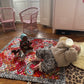Reversible Blanket